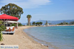 Eretria | Evia Griekenland | De Griekse Gids - foto 017