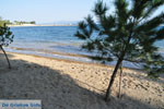 Hotel Negroponte nabij Eretria | Evia Griekenland | De Griekse Gids - foto 005